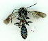  ( - gvc9350-1L)  @12 [ ] Copyright (2004) Unspecified Unspecified