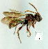  ( - gvc9364-1L)  @13 [ ] Copyright (2004) Unspecified Unspecified