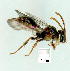  ( - gvc9365-1L)  @11 [ ] Copyright (2004) Unspecified Unspecified