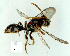 ( - gvc9367-1L)  @12 [ ] Copyright (2004) Unspecified Unspecified