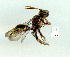  ( - gvc9368-1L)  @12 [ ] Copyright (2004) Unspecified Unspecified