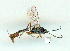  ( - gvc9399-1L)  @12 [ ] Copyright (2004) Unspecified Unspecified