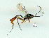  ( - gvc9702-1L)  @12 [ ] Copyright (2004) Unspecified Unspecified