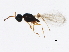  ( - gvc17278-1L)  @12 [ ] CreativeCommons - Attribution (2012) CBG Photography Group Centre for Biodiversity Genomics