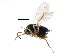  ( - CCDB-28544-D05)  @11 [ ] CreativeCommons - Attribution (2015) CBG Photography Group Centre for Biodiversity Genomics