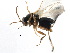  ( - CCDB-28544-D07)  @11 [ ] CreativeCommons - Attribution (2015) CBG Photography Group Centre for Biodiversity Genomics
