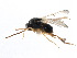  ( - CCDB-28544-D09)  @11 [ ] CreativeCommons - Attribution (2015) CBG Photography Group Centre for Biodiversity Genomics
