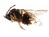  ( - CCDB-28544-E07)  @11 [ ] CreativeCommons - Attribution (2015) CBG Photography Group Centre for Biodiversity Genomics