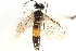  ( - CCDB-28544-F08)  @11 [ ] CreativeCommons - Attribution (2015) CBG Photography Group Centre for Biodiversity Genomics