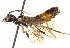  ( - CCDB-28544-F10)  @11 [ ] CreativeCommons - Attribution (2015) CBG Photography Group Centre for Biodiversity Genomics