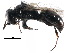  ( - CCDB-28545-C08)  @11 [ ] CreativeCommons - Attribution (2015) CBG Photography Group Centre for Biodiversity Genomics
