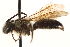  ( - CCDB-28545-H06)  @11 [ ] CreativeCommons - Attribution (2015) CBG Photography Group Centre for Biodiversity Genomics
