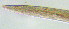  ( - OUCJ010101N)  @11 [ ] CreativeCommons - Attribution Non-Commercial Share-Alike (2022) Hong Zhou Ocean University of China