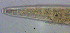  ( - OUCJ100513)  @11 [ ] CreativeCommons - Attribution Non-Commercial Share-Alike (2021) Hong Zhou Ocean University of China