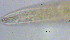  ( - OUCJ100517)  @11 [ ] CreativeCommons - Attribution Non-Commercial Share-Alike (2021) Hong Zhou Ocean University of China