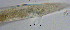  ( - OUCJ100517)  @11 [ ] CreativeCommons - Attribution Non-Commercial Share-Alike (2021) Hong Zhou Ocean University of China