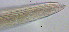  ( - OUCJ100518)  @11 [ ] CreativeCommons - Attribution Non-Commercial Share-Alike (2021) Hong Zhou Ocean University of China