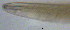  ( - OUCJ100524)  @11 [ ] CreativeCommons - Attribution Non-Commercial Share-Alike (2021) Hong Zhou Ocean University of China