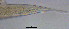  ( - OUCJ080609)  @11 [ ] CreativeCommons - Attribution Non-Commercial Share-Alike (2021) Hong Zhou Ocean University of China
