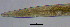  ( - OUCJ090602)  @11 [ ] CreativeCommons - Attribution Non-Commercial Share-Alike (2021) Hong Zhou Ocean University of China