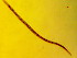  ( - OUCDZ35B)  @11 [ ] CreativeCommons - Attribution Non-Commercial Share-Alike (2016) Hong Zhou Ocean University of China