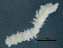  ( - BIOUG06646-A01)  @12 [ ] CreativeCommons - Attribution Non-Commercial Share-Alike (2013) Hong Zhou Ocean University of China