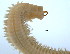  ( - BIOUG06836-A01)  @12 [ ] CreativeCommons - Attribution Non-Commercial Share-Alike (2014) Hong Zhou Ocean University of China