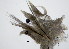  ( - BIOUG06836-A01)  @12 [ ] CreativeCommons - Attribution Non-Commercial Share-Alike (2014) Hong Zhou Ocean University of China