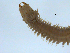  ( - BIOUG06836-D01)  @13 [ ] CreativeCommons - Attribution Non-Commercial Share-Alike (2014) Hong Zhou Ocean University of China