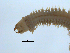  ( - BIOUG06836-D01)  @13 [ ] CreativeCommons - Attribution Non-Commercial Share-Alike (2014) Hong Zhou Ocean University of China
