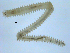  ( - BIOUG06836-D02)  @12 [ ] CreativeCommons - Attribution Non-Commercial Share-Alike (2014) Hong Zhou Ocean University of China