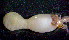  ( - OUCSYS1405D04001)  @11 [ ] CreativeCommons - Attribution Non-Commercial Share-Alike (2016) Hong Zhou Ocean University of China