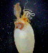  ( - OUCSYS1405D04001)  @11 [ ] CreativeCommons - Attribution Non-Commercial Share-Alike (2016) Hong Zhou Ocean University of China