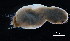  ( - OUCESC1405D09002)  @11 [ ] CreativeCommons - Attribution Non-Commercial Share-Alike (2017) Hong Zhou Ocean University of China