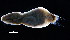  ( - OUCESC1405D09004)  @11 [ ] CreativeCommons - Attribution Non-Commercial Share-Alike (2017) Hong Zhou Ocean University of China