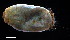 ( - OUCESC1405D09005)  @11 [ ] CreativeCommons - Attribution Non-Commercial Share-Alike (2017) Hong Zhou Ocean University of China