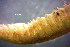  ( - OUCQDBSB1512HC40501)  @11 [ ] CreativeCommons - Attribution Non-Commercial Share-Alike (2018) Hong Zhou Ocean University of China