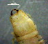  ( - OUCQDBSB1512HC40501)  @11 [ ] CreativeCommons - Attribution Non-Commercial Share-Alike (2018) Hong Zhou Ocean University of China