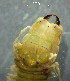  ( - OUCQDBSB1512HC40501)  @11 [ ] CreativeCommons - Attribution Non-Commercial Share-Alike (2018) Hong Zhou Ocean University of China