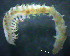  ( - OUCQDBSB1512LC10402)  @11 [ ] CreativeCommons - Attribution Non-Commercial Share-Alike (2018) Hong Zhou Ocean University of China