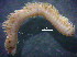  ( - OUCQDBSB1512LC10601)  @11 [ ] CreativeCommons - Attribution Non-Commercial Share-Alike (2018) Hong Zhou Ocean University of China