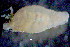 ( - OUCJ4006)  @12 [ ] CreativeCommons - Attribution Non-Commercial Share-Alike (2015) Hong Zhou Ocean University of China