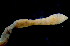  ( - OUCQDBSB1512MP1001)  @11 [ ] CreativeCommons - Attribution Non-Commercial Share-Alike (2016) Hong Zhou Ocean University of China