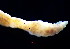  ( - OUCQDBSB1512MP1003)  @11 [ ] CreativeCommons - Attribution Non-Commercial Share-Alike (2016) Hong Zhou Ocean University of China