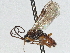  ( - CNC1968767)  @11 [ ] CreativeCommons - Attribution (2022) CBG Photography Group Centre for Biodiversity Genomics