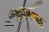  ( - IAE101224)  @11 [ ] CreativeCommons  Attribution Non-Commercial Share-Alike (2022) David Cappaert Institute for Applied Ecology