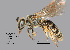  ( - IAE101225)  @11 [ ] CreativeCommons  Attribution Non-Commercial Share-Alike (2022) David Cappaert Institute for Applied Ecology