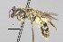  ( - IAE101275)  @11 [ ] CreativeCommons  Attribution Non-Commercial Share-Alike (2022) David Cappaert Institute for Applied Ecology