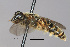  ( - IAE101558)  @11 [ ] CreativeCommons  Attribution Non-Commercial Share-Alike (2022) David Cappaert Institute for Applied Ecology