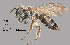  ( - IAE103153)  @11 [ ] CreativeCommons  Attribution Non-Commercial Share-Alike (2022) David Cappaert Institute for Applied Ecology